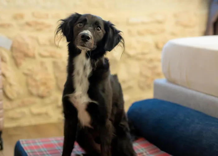 Casa Leon D'oro Bosco Chiesanuova