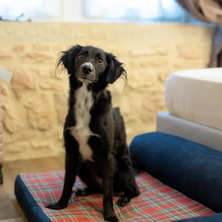 Casa Leon D'oro Bosco Chiesanuova