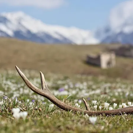 Casa Leon D'oro Bosco Chiesanuova