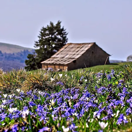 Szálloda Casa Leon D'oro 3*